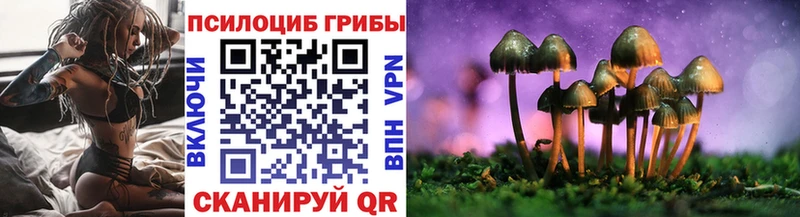 Псилоцибиновые грибы мухоморы  мега зеркало  Удачный  где продают  